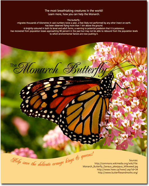 Poster - Monarch Butterfly - Monarch Butterfly Swamp Milkweed (525x700), Png Download