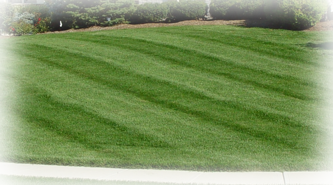 Contact Us - Lawn (1122x623), Png Download