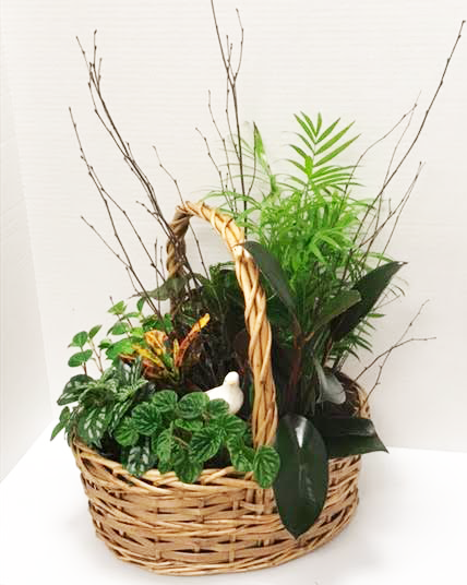 Garden Grass Png (428x536), Png Download