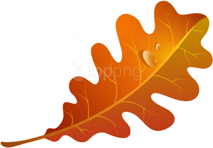 Free Png Download Fall Orange Leaf Clipart Png Photo - Orange Fall Leaf Clip Art (850x586), Png Download