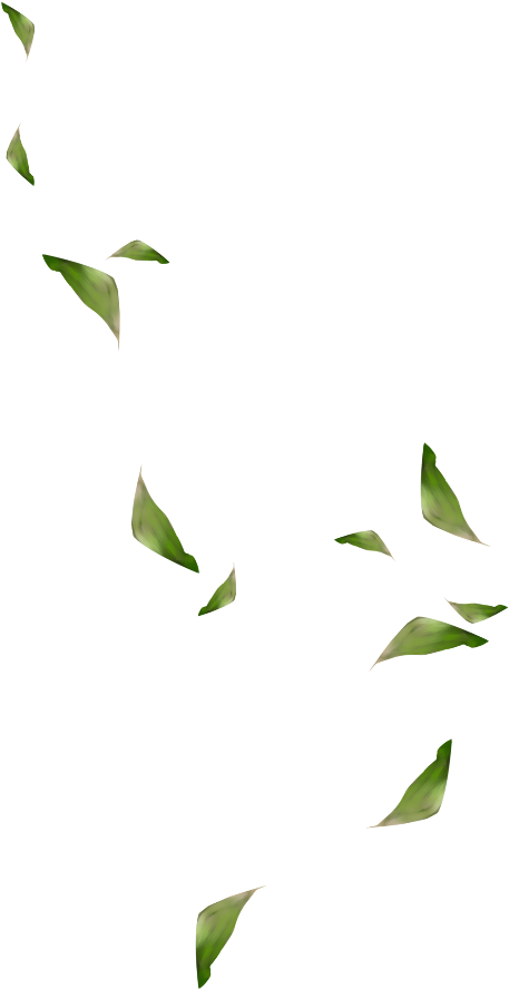 #mq #green #leaf #leaves #falling #decoration #background - Illustration (1024x1024), Png Download