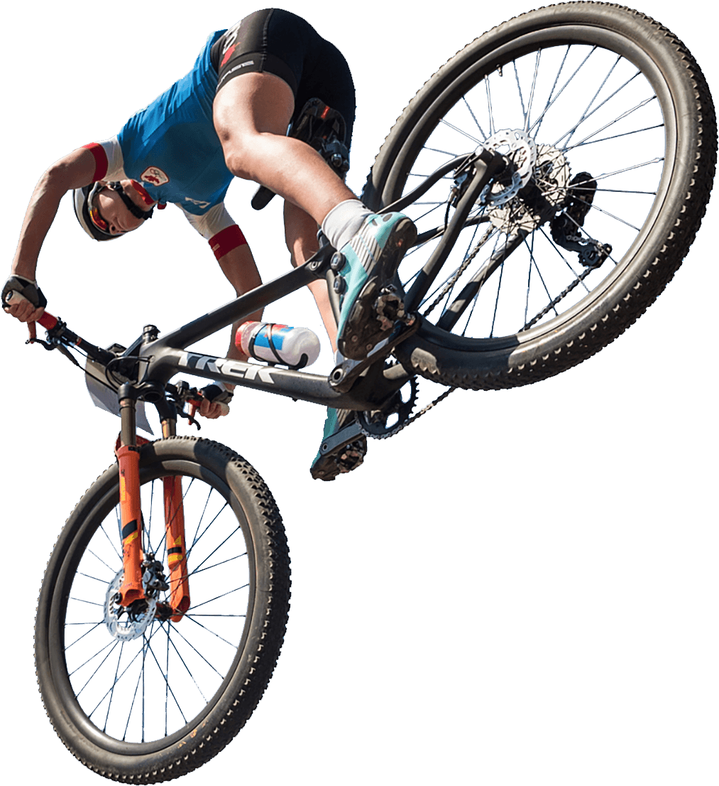 Emily Batty's (1013x1106), Png Download