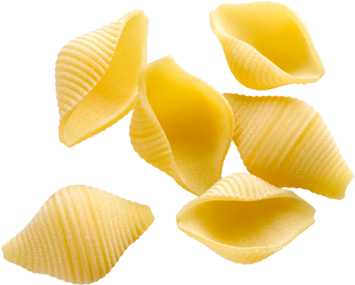 Shell Pasta Png (650x650), Png Download
