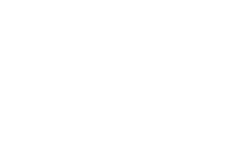 Horses Png (1000x663), Png Download