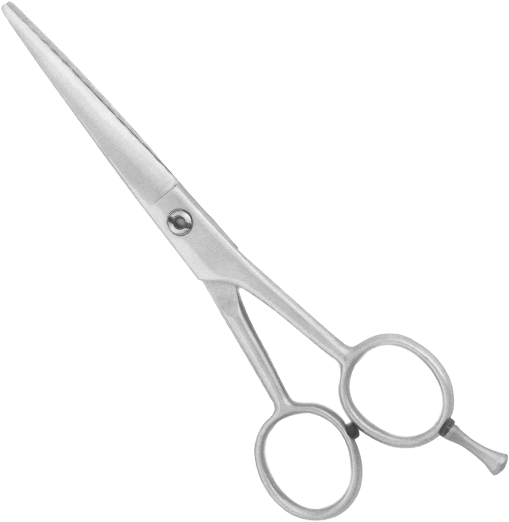Professional Barber Scissor Most Popular In Our Range - Scissors (600x600), Png Download