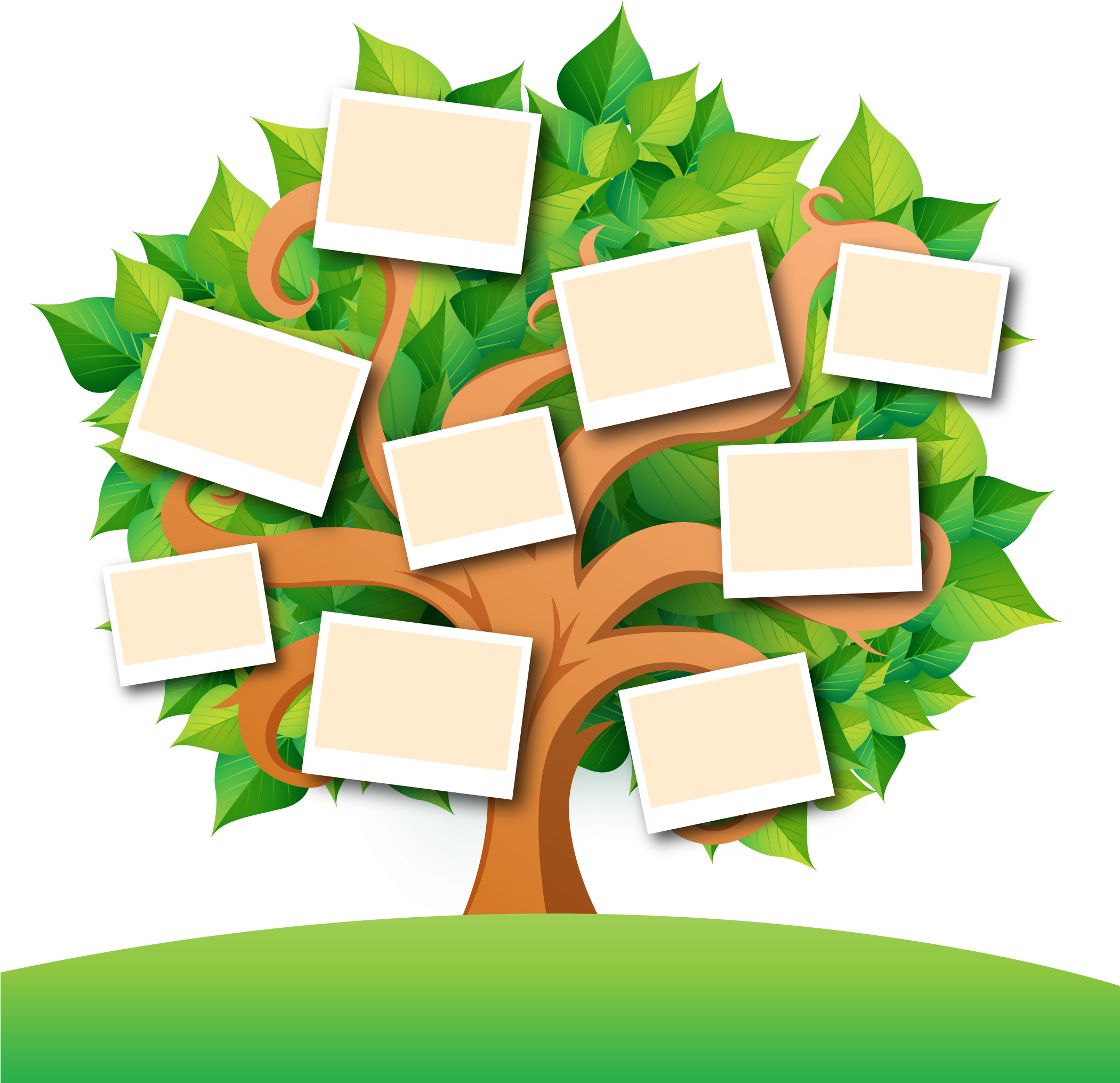 Download Hd Family Tree Transparent Images Png Family Tree Png Vector Transparent Png Image Nicepng Com