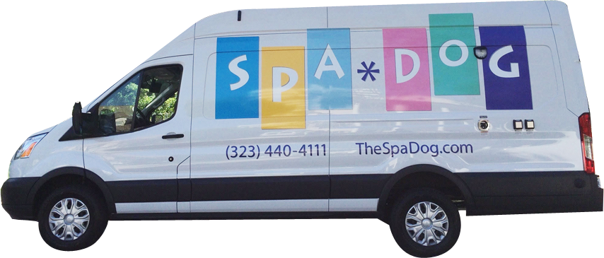 Van - Compact Van (854x365), Png Download