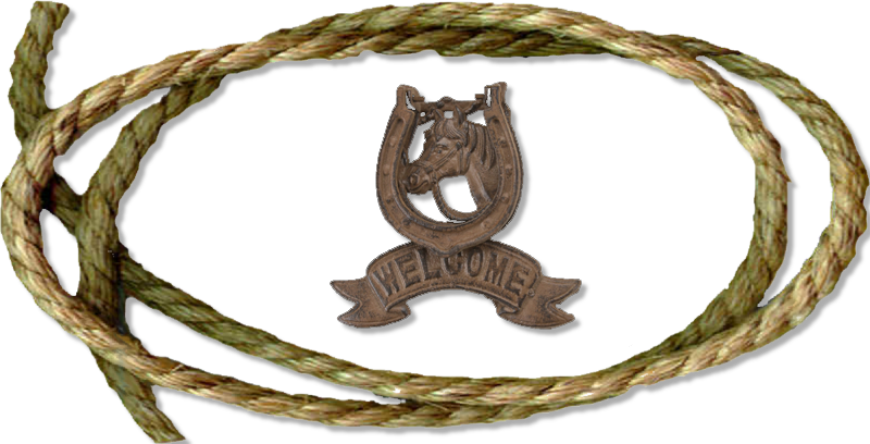 Lasso - French Bulldog (800x408), Png Download