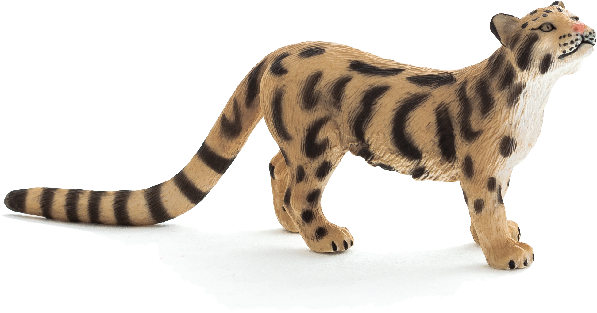 Siberian Tiger (5616x3744), Png Download