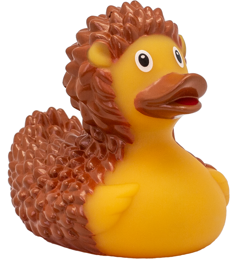 Hedgehog Rubber Duck - Bath Toy (1117x1117), Png Download