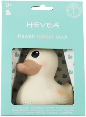 Rubber Duck (600x600), Png Download