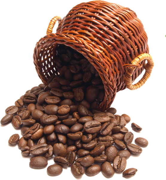 Кофейные Зёрна На Прозрачном Фоне (555x600), Png Download