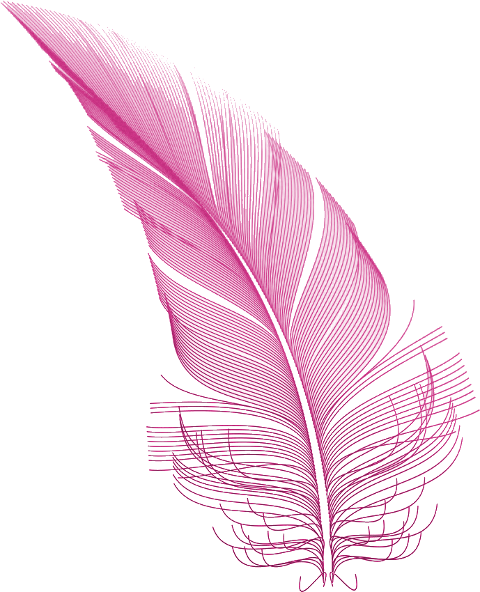 Pink Feather - Illustration (748x908), Png Download