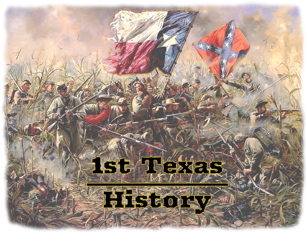 1st Texas Infantry - Lone Star By Don Troiani (1024x784), Png Download