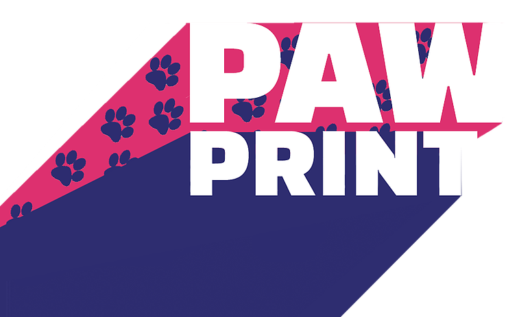 Pawprint2 - Graphic Design (757x463), Png Download