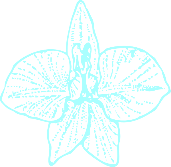Blue Orchid Clip Art Svg Clip Arts 600 X 586 Px (600x586), Png Download
