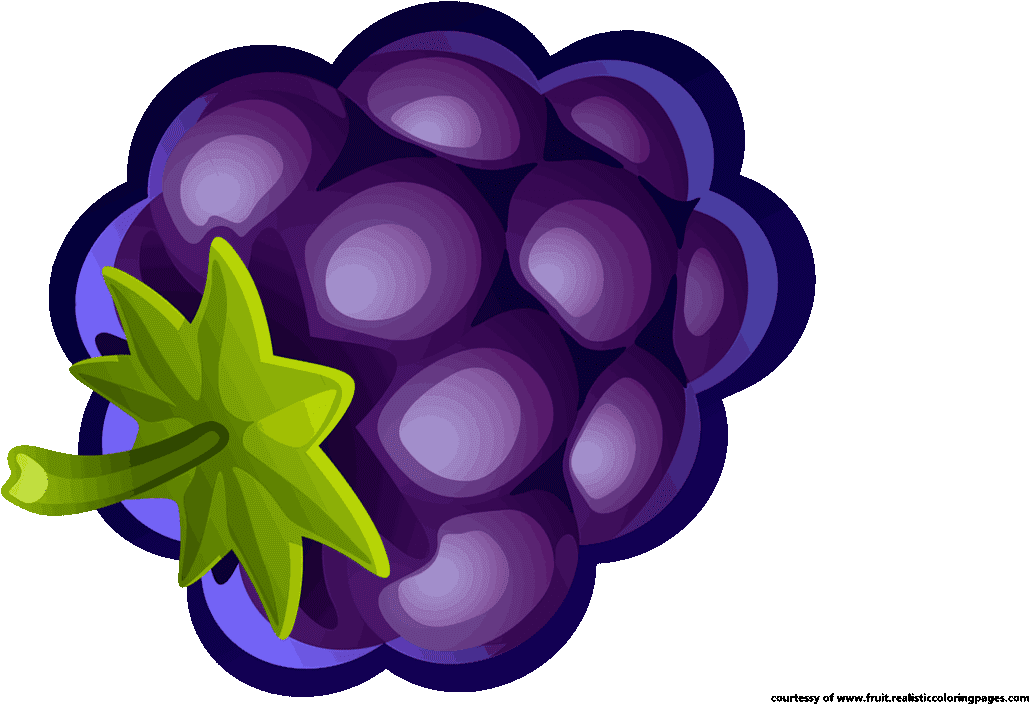 Blueberries Clipart - Illustration (1280x720), Png Download