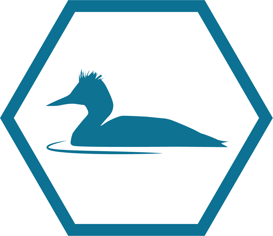 A Safe Haven For Birds - Especialidade Arte Em Origami (1150x996), Png Download