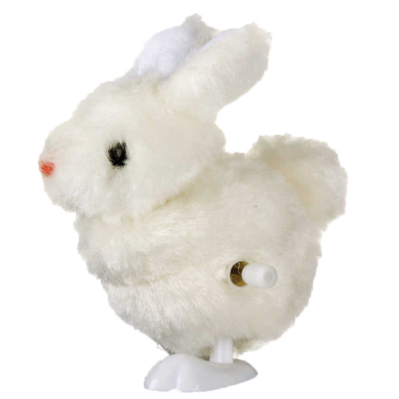 Domestic Rabbit (800x800), Png Download