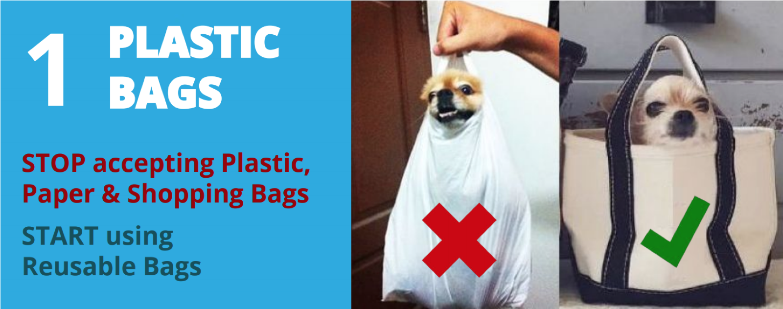 Plastic Bags - Reusable Bags Vs Plastic Bags (1600x1000), Png Download