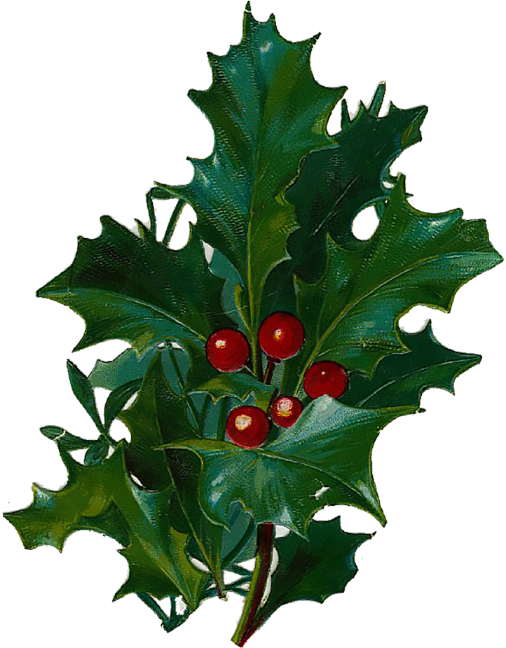 750 X 960 2 - Victorian Clip Art Christmas (750x960), Png Download