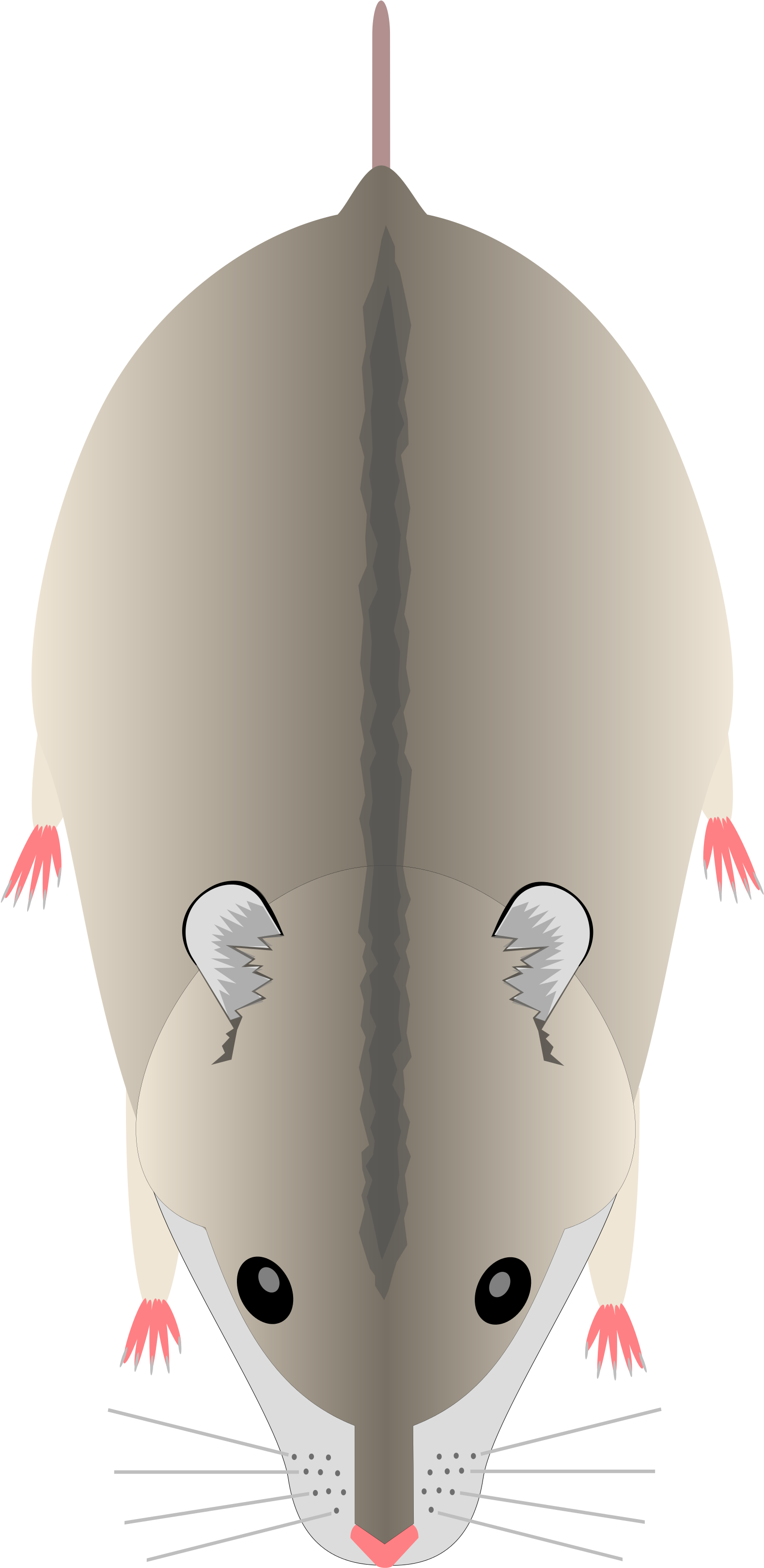 Open - Illustration (2000x3455), Png Download