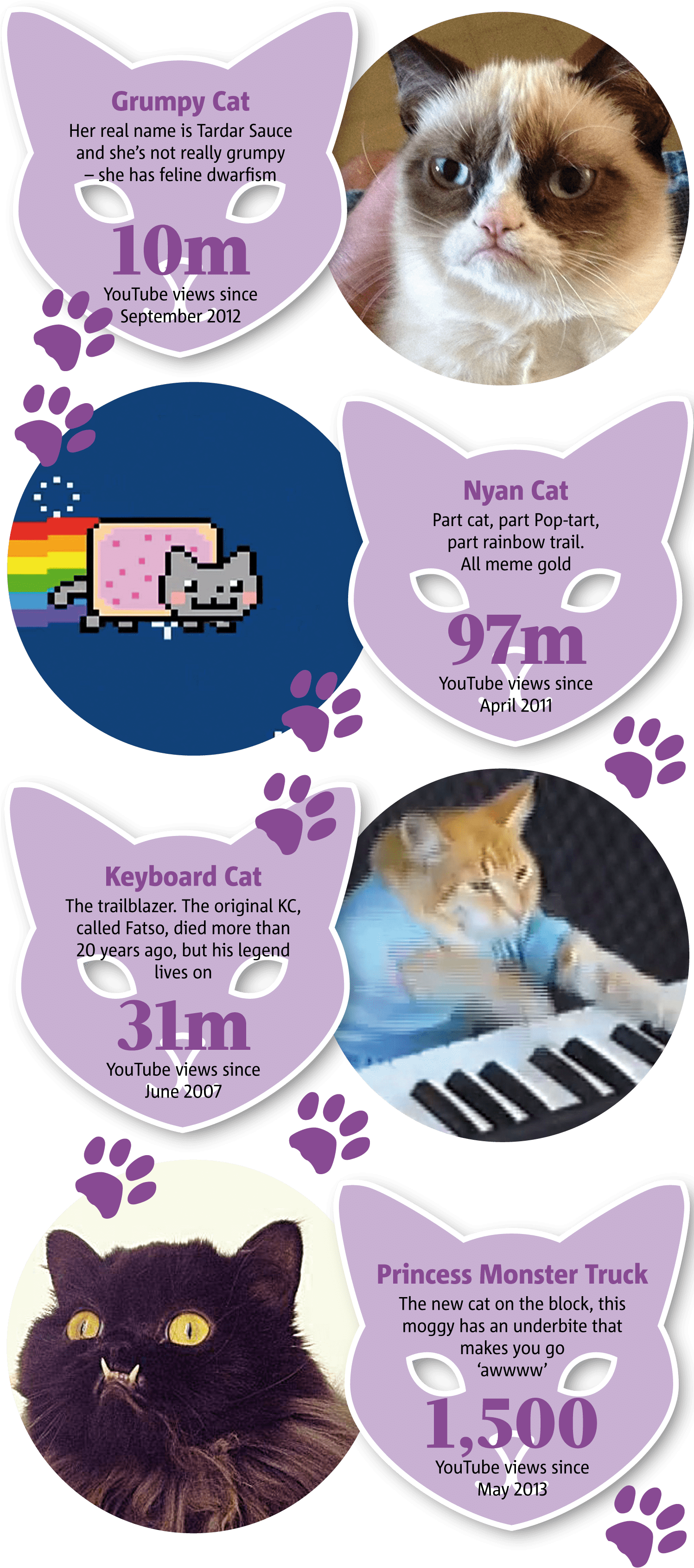 0306 Internet Cats - Paw (1496x3400), Png Download