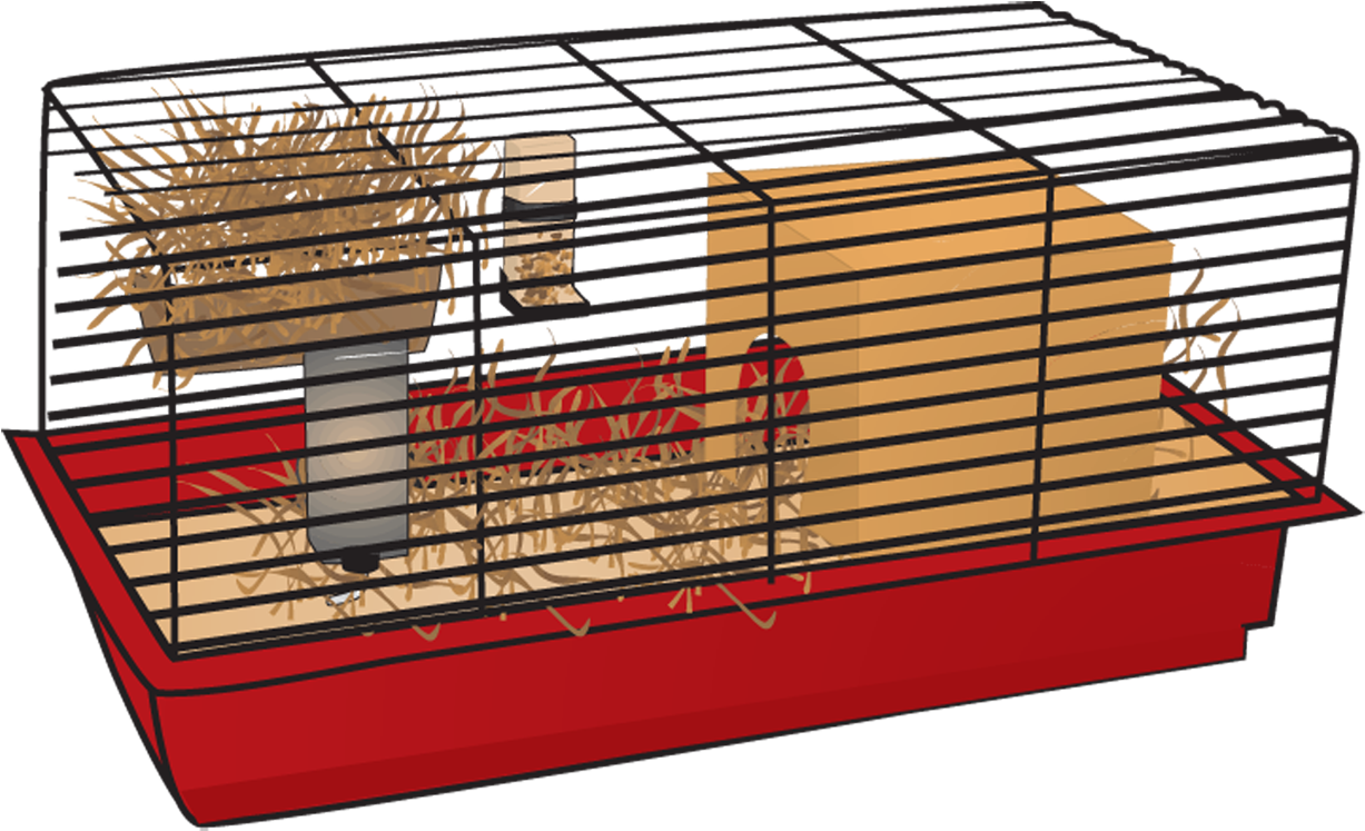 Hamster - Cage (1240x800), Png Download