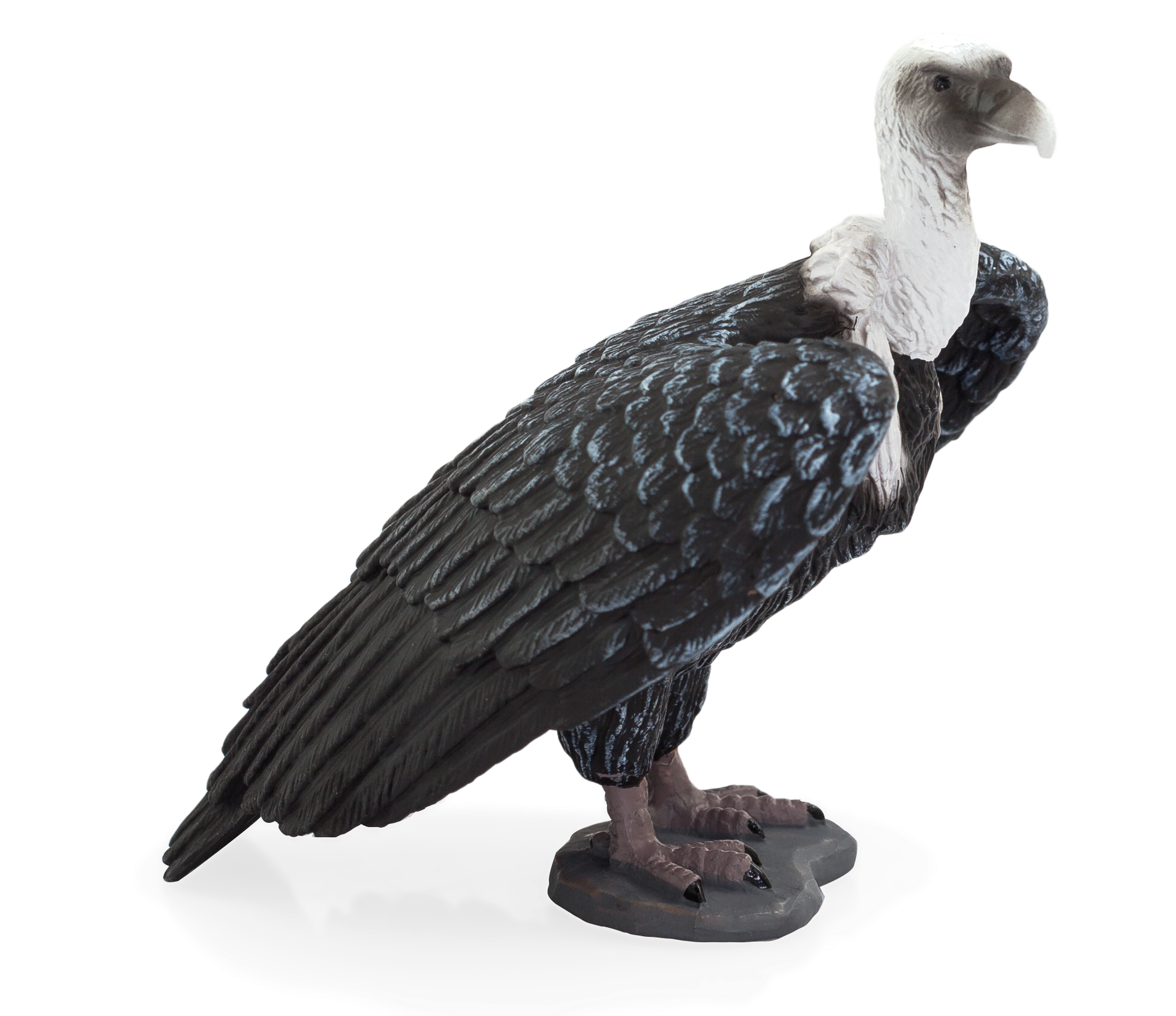 Wildlife - Mojo Fun Griffon Vulture (1959x1814), Png Download