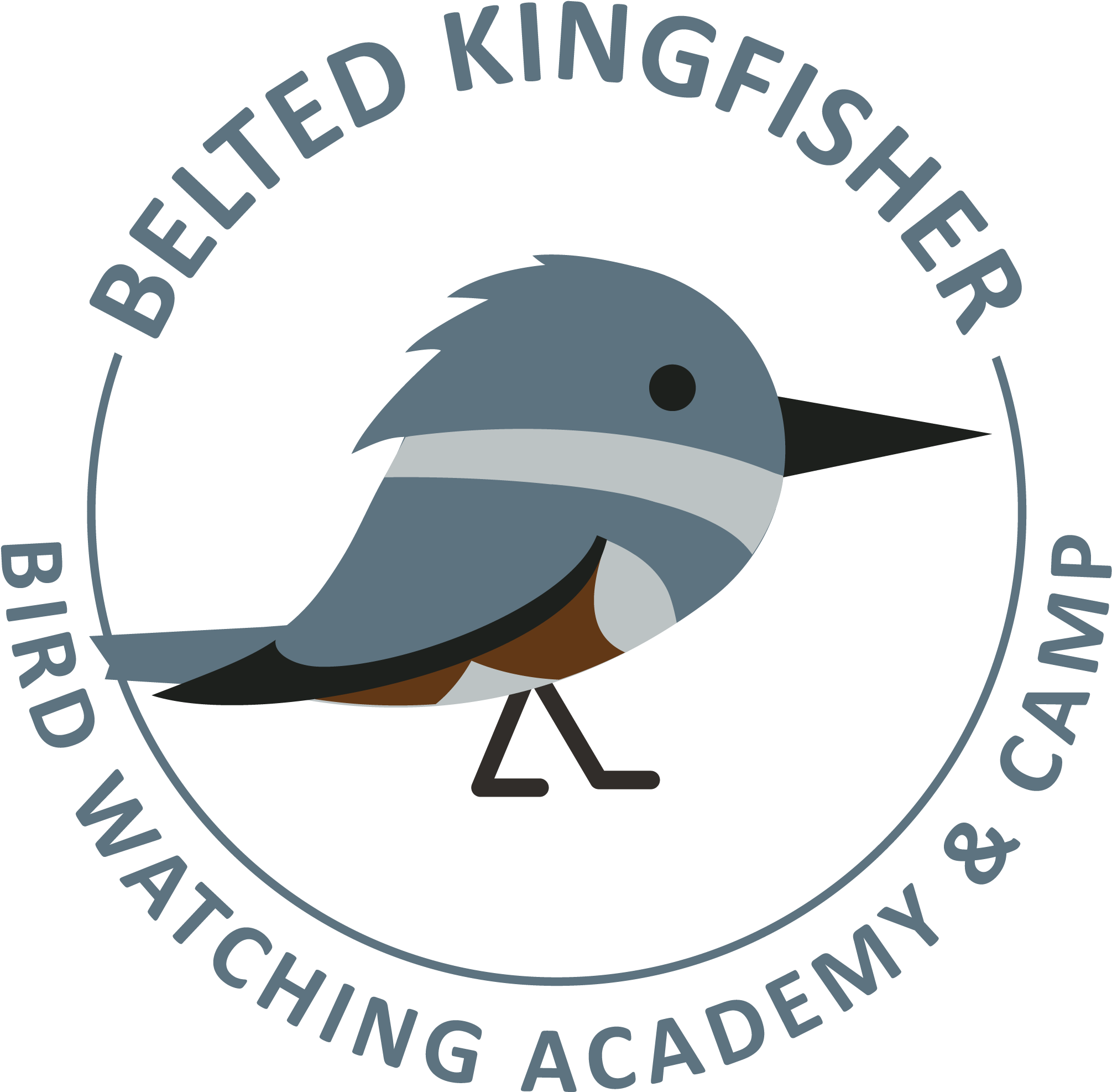 Belted Kingfisher - Us Nuclear Regulatory Commission (2543x2523), Png Download