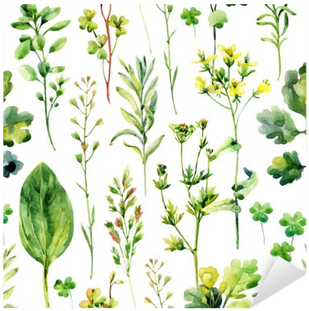 Watercolor Meadow Weeds And Herbs Seamless Pattern - Tapeta W Zioła (400x400), Png Download
