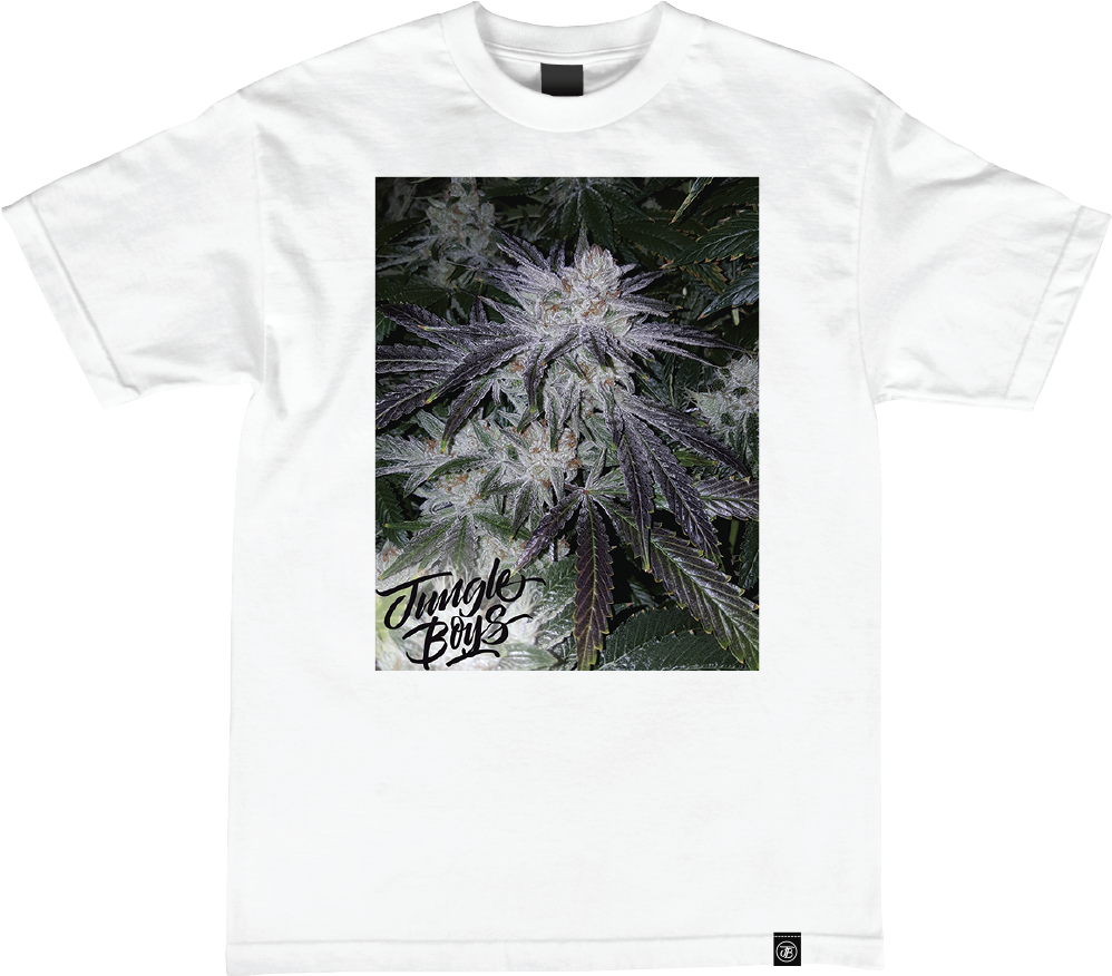 Flowhtf (1000x882), Png Download