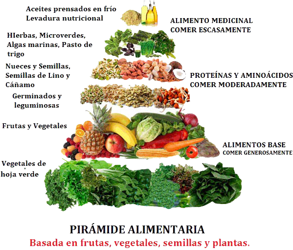 Pirámide Calórica De Nuestras Frutas, Pirámide Dieta - Raw Food Pyramid (616x552), Png Download