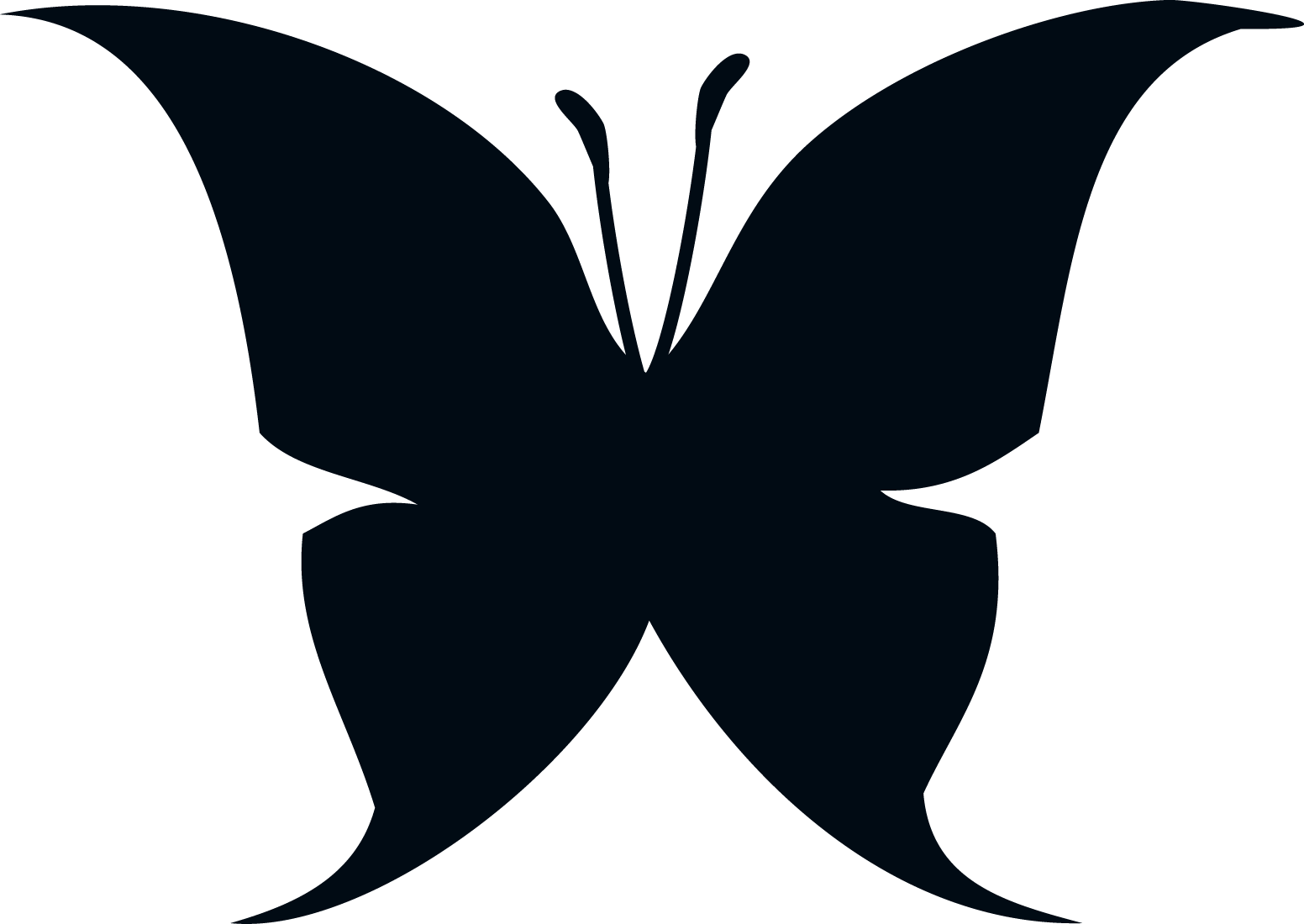 Butterfly Silhouette Set Different Clipart - Shadow Butterfly Clipart Png (1552x1100), Png Download