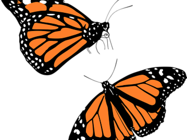 Monarch Butterfly Free On Dumielauxepices Net - Monarch Clipart (640x480), Png Download