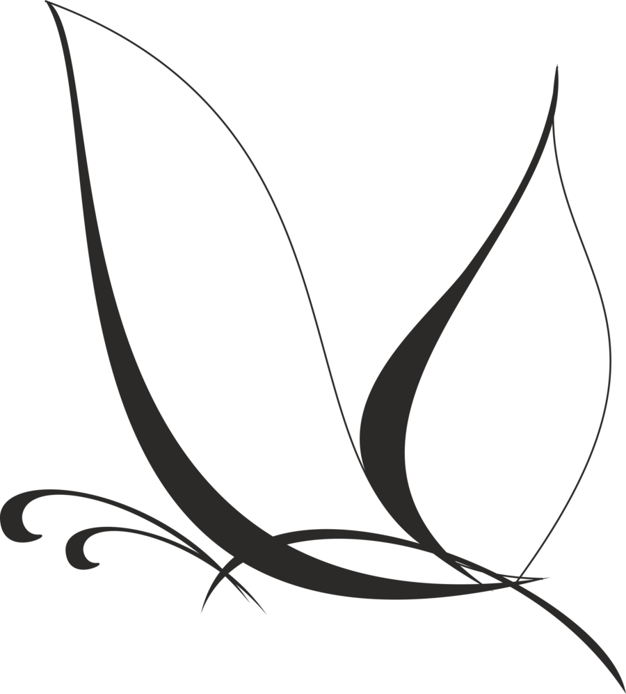 Free Butterfly Vector - White Butterfly Vector Png (900x997), Png Download