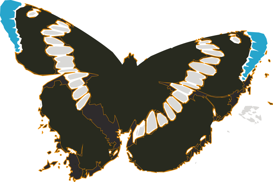 Free Vector Butterflies - Butterflies (888x595), Png Download