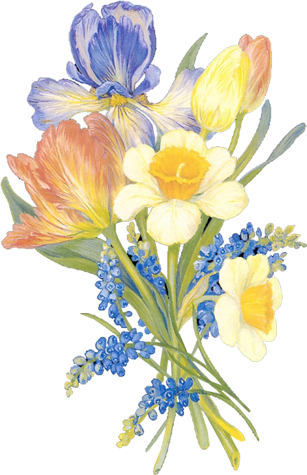 Flores Y Letras Para Decoupage (454x700), Png Download