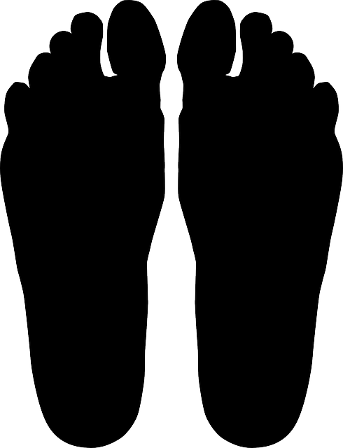 Toes, Foot, Feet, Silhouette, Footprints - Feet Silhouette (490x640), Png Download