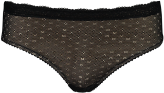 Lace Black & Nude - Undergarment (480x444), Png Download