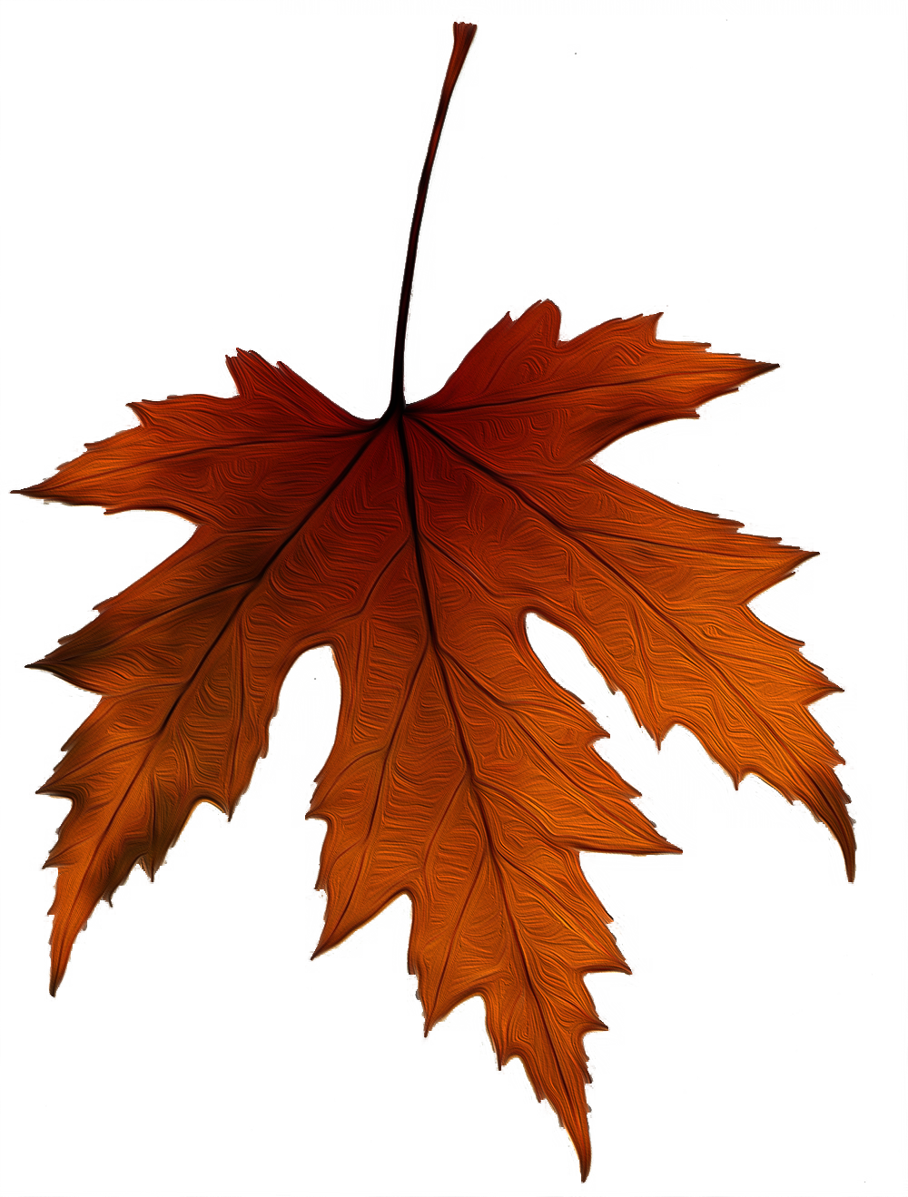 Hoja De Un Árbol - Hojas De Arbol Otoño (1000x1319), Png Download