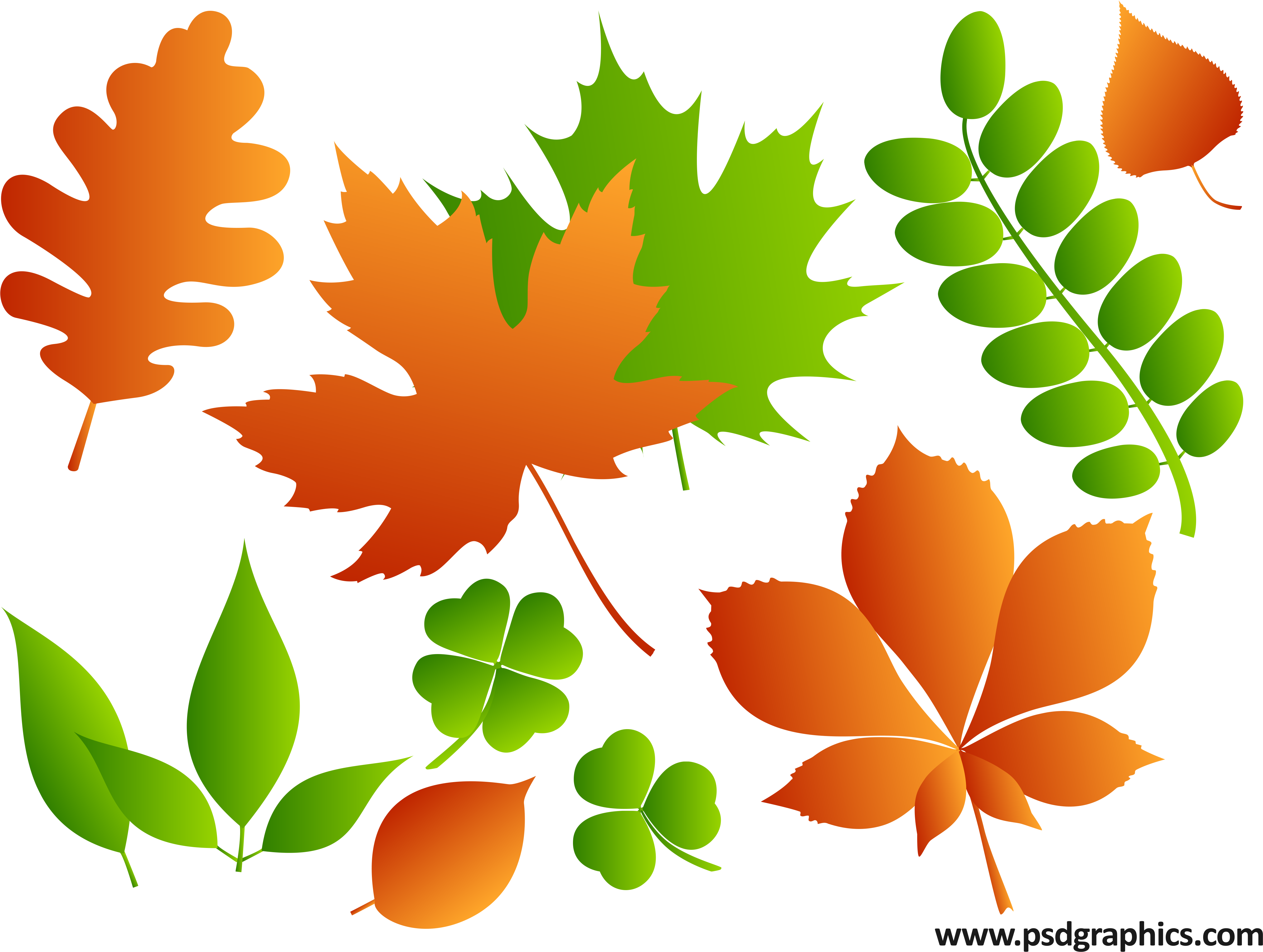 Png Leaves - Vector Psd Atau Png (5000x3750), Png Download