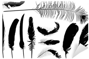 Eleven Black Feathers On White Illustration Wall Mural - Czarno Biały Rysunek Pióro (400x400), Png Download