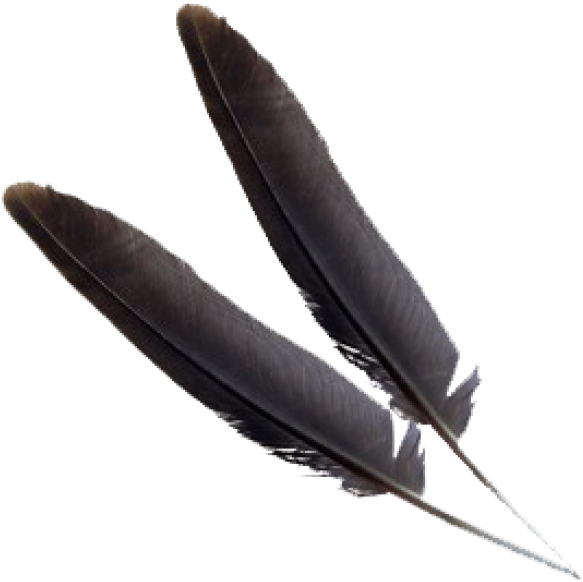 Black Png Feather Download - Feather (600x606), Png Download