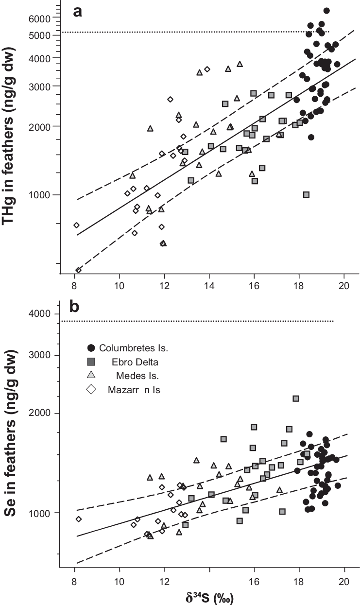 Relationships Of Thg And Se (b) Concentrations (in - Logarithmic Scale (741x1245), Png Download