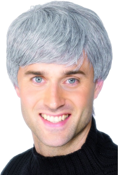 Short Mens Realistic Modern Wig Grey - Man's Wig (500x793), Png Download