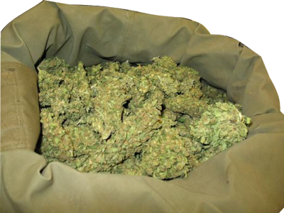 Loud Weed - Purple Haze In India (400x300), Png Download