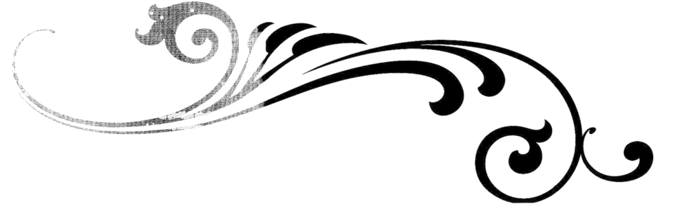 Flourish2 - Flourish Vector (1000x455), Png Download