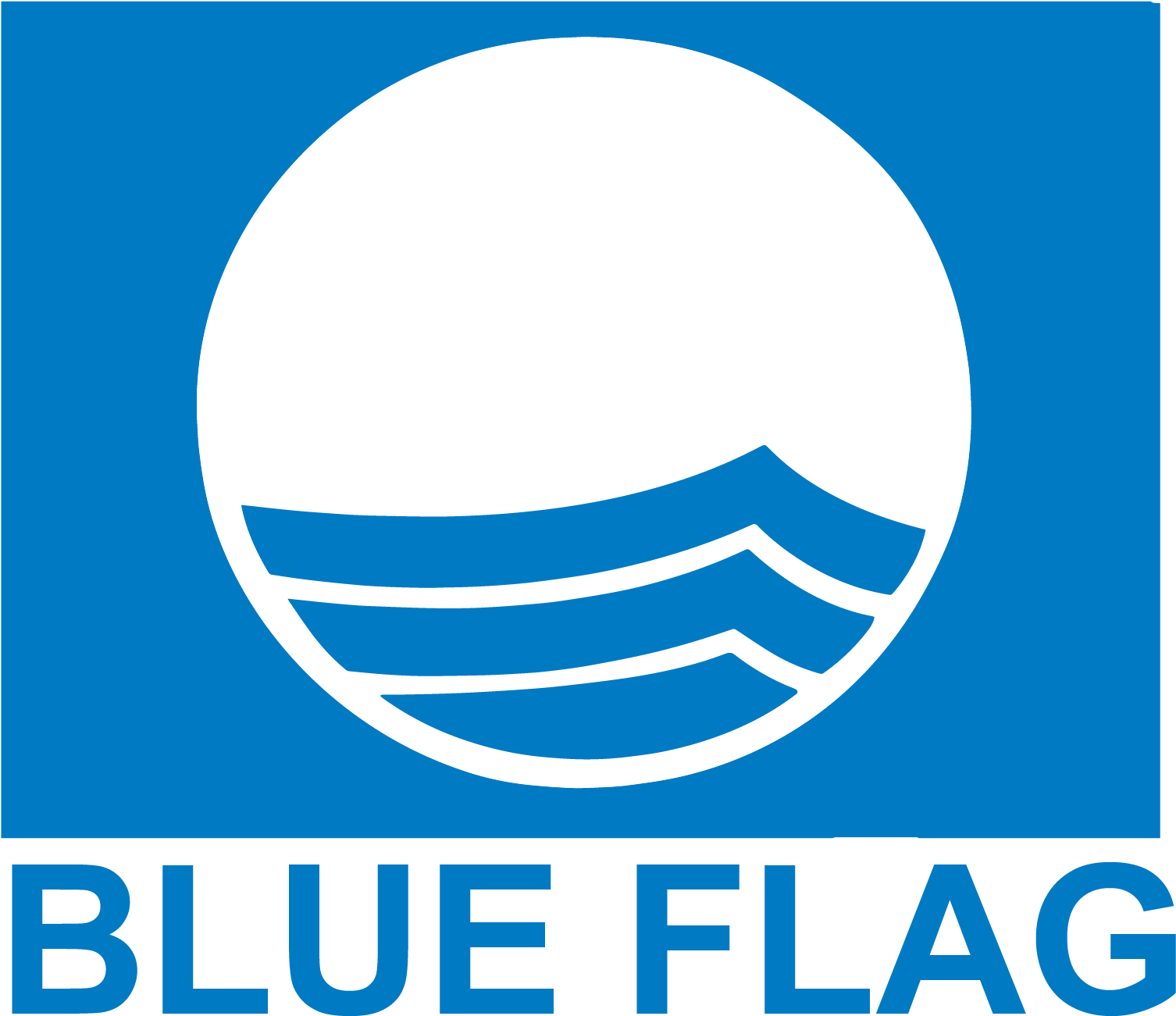 Image - Blue Flag Logo Png (2250x1813), Png Download
