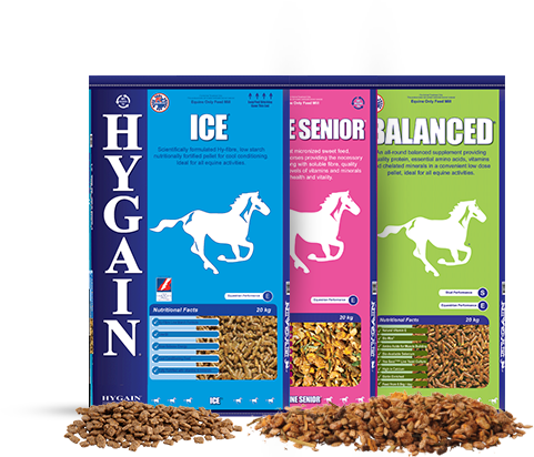 Bopp Bags - Hygain Equine Senior - 20kg (481x412), Png Download